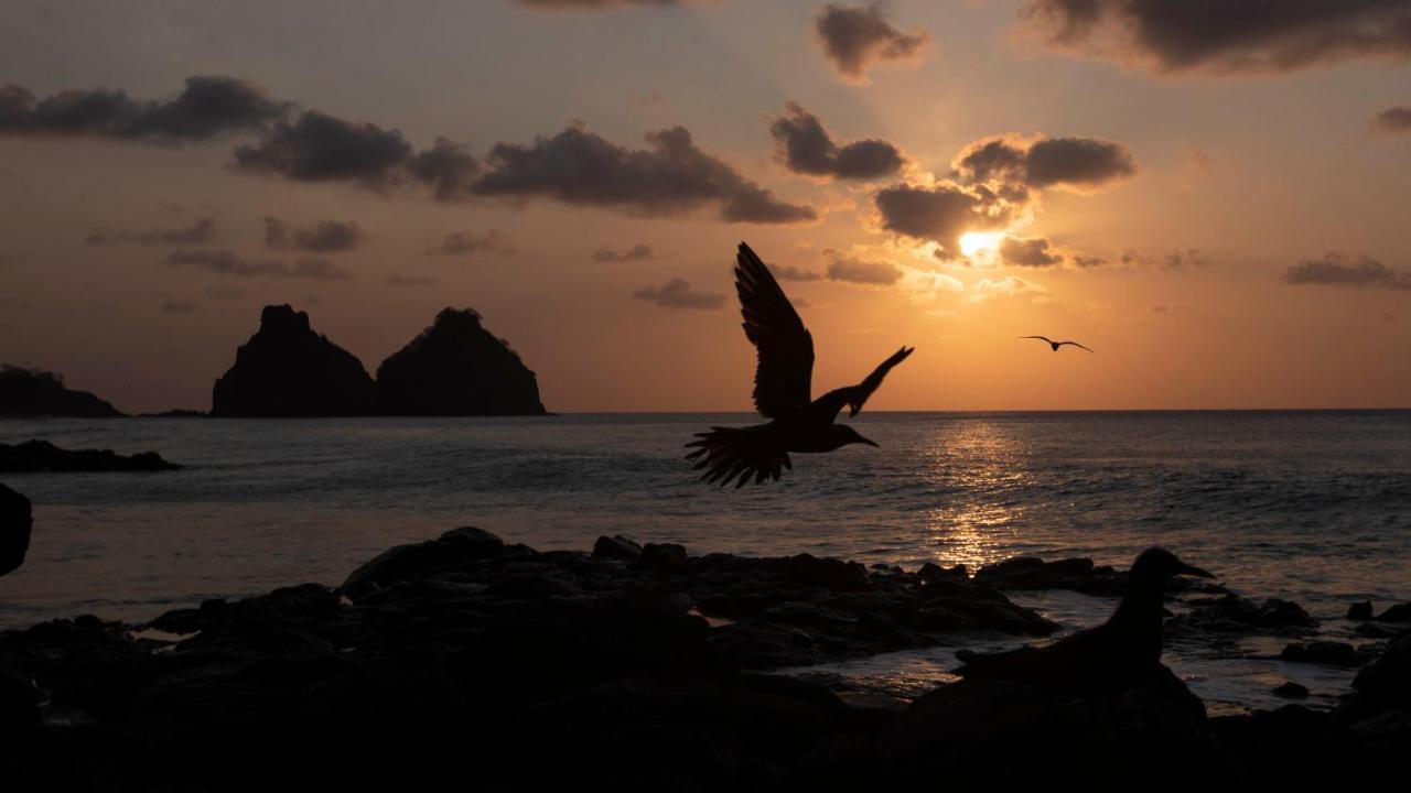 Pousada Naonda Fernando de Noronha Kültér fotó